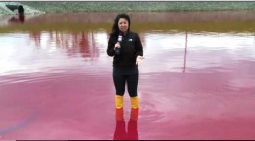 La Colorada Y Su Lago De Color Rosa